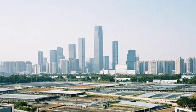 贸易优化建议:适用场景与限制分析